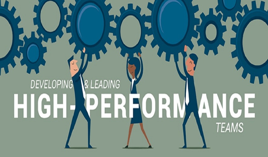 The Practical Leader: Developing and Leading High Performing Teams